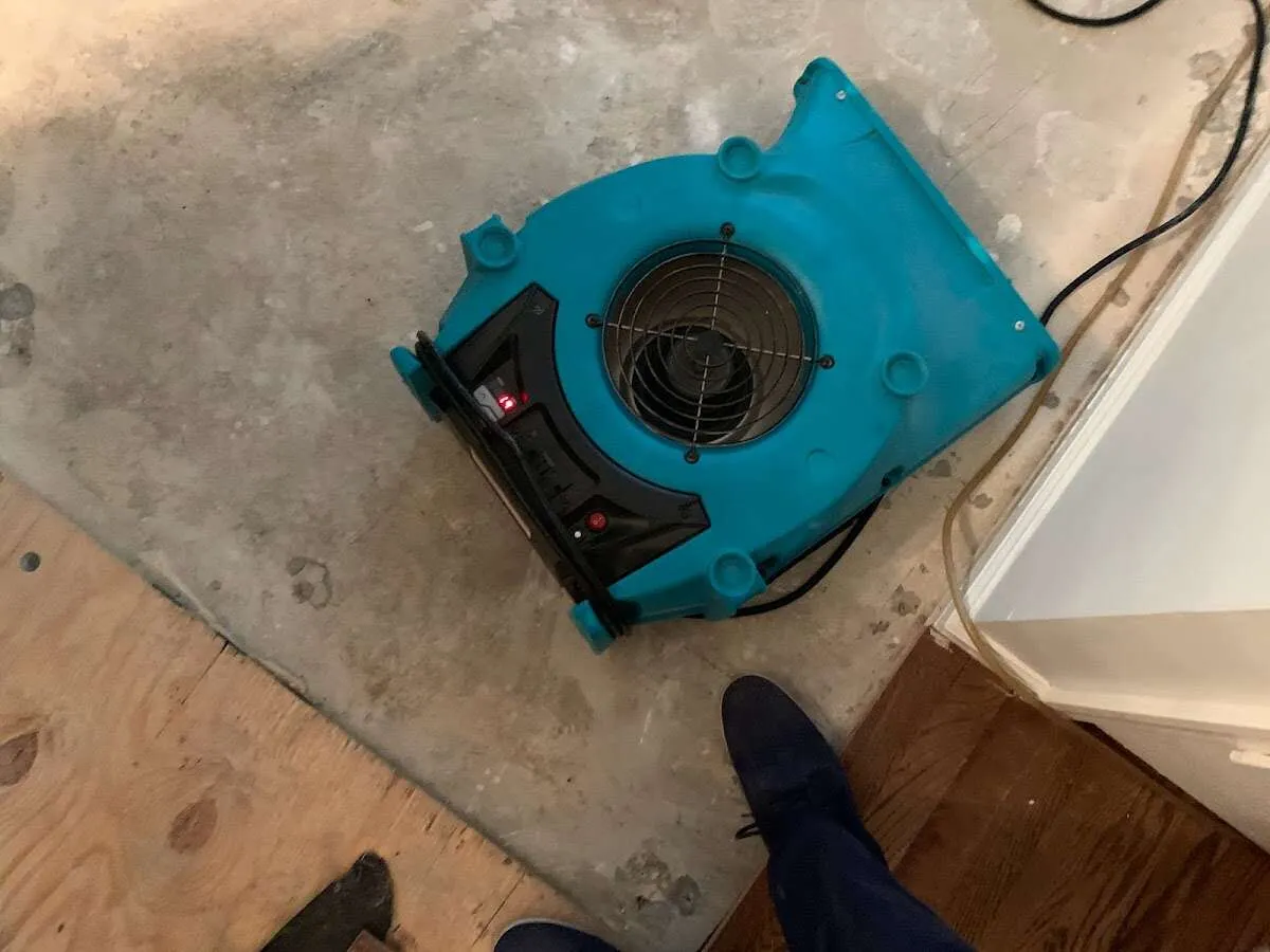 Air mover drying subfloor during Commercial Water Damage Restoration in New Haven